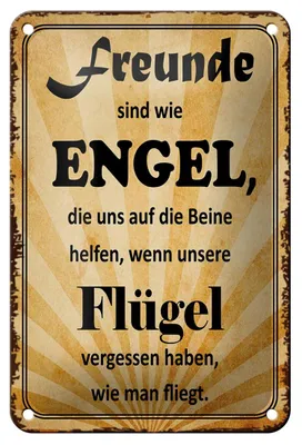 Produktbild von Blechschild Spruch 12x18cm Freunde sind wie Engel die uns
