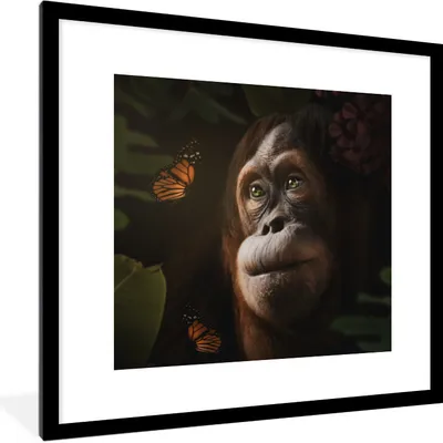 Produktbild von MuchoWow® MuchoWow® Gerahmtes Poster Schmetterling - Affe - Dschungel 40x40 cm - Poster mit zchwarzem Bilderrahmen - Poster - Plakat im Rahmen