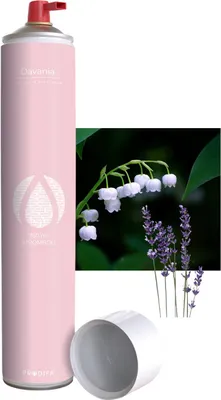 warme, fruchtige und dezente Note für einen herzlichen Empfang und eine wohlige Atmosphäre 750 ml Raumduftspray