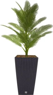 Produktbild von Polyrattan Pflanztopf mit Einsatz 50,5cm anthrazit Blumentopf Pflanztopf Kübel