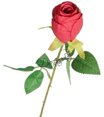Immagine prodotto di Fiori artificiali, pianta, rosa singola, 51 cm, rose