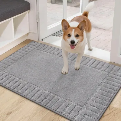 Imagen del producto de Omgoods: Alfombra exterior absorbente para la entrada y el jardín