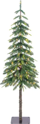 Produktbild von Black Box Trees Lodge Künstlicher Weihnachtsbaum mit Beleuchtung und Timer - Dimmerfunktion - H155 x Ø48 cm - Grün