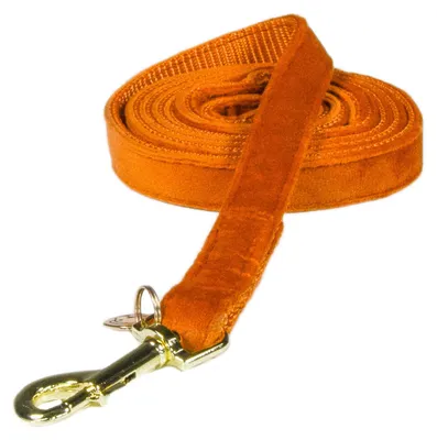 Image de Kentucky Dogwear Laisse pour chien Velvet 120 cm Size S Orange S