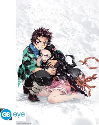 Produktbild von DEMON SLAYER - Poster « Tanjiro & Nezuko Snow » (91.5x61)