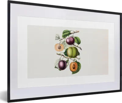 Produktbild von MuchoWow® Gerahmtes Poster Lebensmittel - Obst - Pfirsich 60x40 cm - Poster mit Schwarzem Bilderrahmen Wandposter Rahmen Foto Bilder - Schlafzimmer - Plakat in Rahmen - Drucken