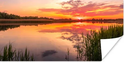 Produktbild von MuchoWow® Poster Wasser - Luft - Natur 150x75 cm - ohne Rahmen