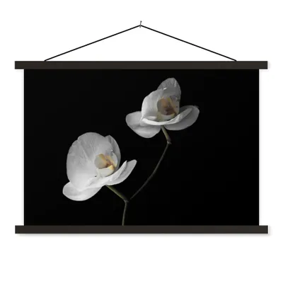 Produktbild von MuchoWow® Textilposter Orchidee - Blumen - Schwarz - Weiß - Stilleben 60x40 cm mit schwarzem Rahmen - Hölzernes