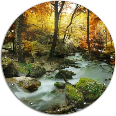 Produktbild von Wallario rundes Outdoor-Poster für Garten oder Balkon, Motiv Wasserfall mit moosbedeckten Steinen im Herbstwald, 90 cm Durchmesser
