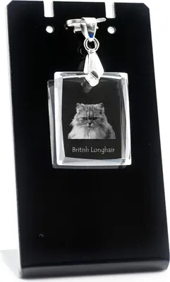 Immagine prodotto di Cane britannico a pelo lungo - Pendente gatto di cristallo, collana con foto, gioielli unici di Art-Dog
