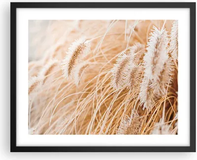 Produktbild von Gerahmtes Poster - Schwarzer Rahmen - Gras Boho Licht - 50x40 cm - Wand Bild - Wanddeko - Wandbilder - Kunstposter - Wandposter - Bilderrahmen - Bilder - Kunstdruck - Wanddekoration - P2BAA50x40-4903