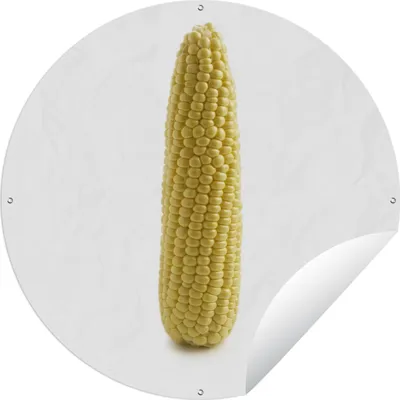 Produktbild von MuchoWow®