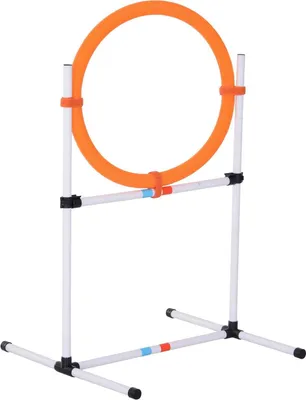 Produktbild von Pawhut Paws Hundetrainings-Set Agility-Training mit PE-Tragetasche