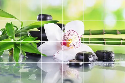 Produktbild von Fliesenaufkleber 15x15 cm – 24 Stück – Selbstklebend – Wasserfest – Pflegeleicht – Hitzebeständig – Für Küche & Bad – Blumen und Steine in Harmonie