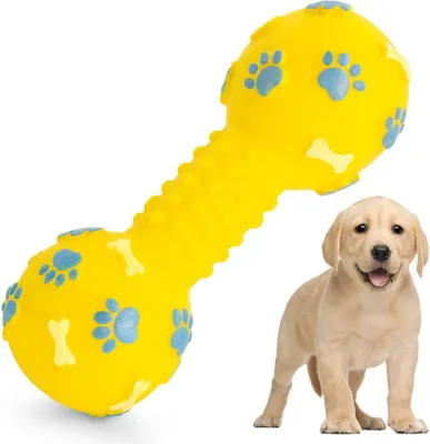Produktbild von Quietschspielzeug aus Gummi in Hantelform für Hunde