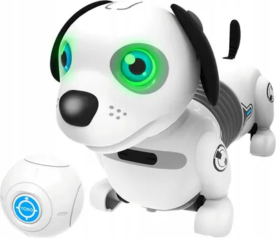 Image de Silverlit Chien robot interactif Robo Dackel Junior