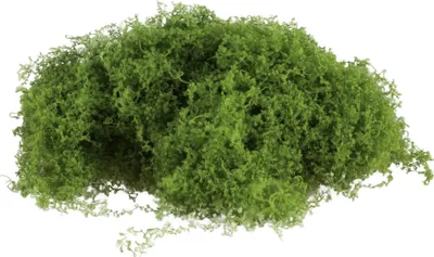 Produktbild von Künstliches Moos – 50 g