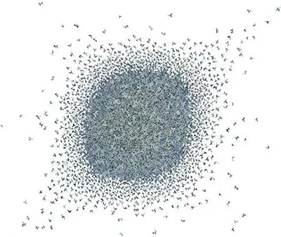Produktbild von I.p.y. - Ipy Cd