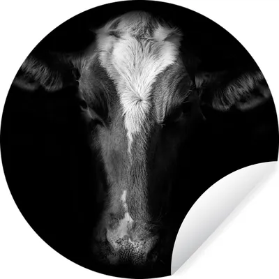 Produktbild von MuchoWow® Runde Wandtattoo - Wandsticker Tapete Aufkleber Kuh - Tiere - Schwarz Ø 50 cm Selbstklebend und Repositionierbar - Wandaufkleber - Kreis - Wand Kreis - Wand Bild - Foto Tapete - Selbstklebende - Wohnzimmerdekoration - Wand Dekoration - Kinderzimmer