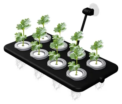 Imagen del producto de Soporte para plantas de acuario, con 8 orificios, flotante, para acuarios de agua dulce