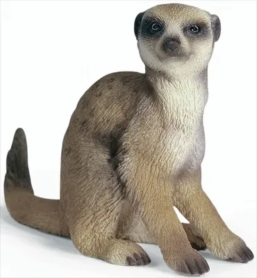 Produktbild von schleich Erdmännchen, Sitzend, 3 Jahr(e), Braun, Kunststoff