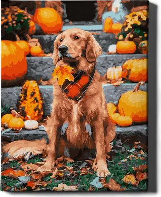Immagine prodotto di Oh Art! - Set di colori per cani - 40x50cm, con cornice in legno e pennelli fai da te