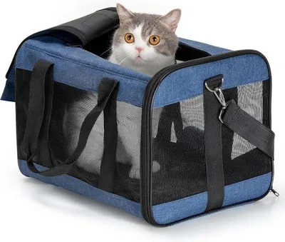 Produktbild von Faltbare Hundetransportbox - reisefreundliche Katzentransportbox - Katzentasche für Hundekatzen - Fluggesellschaft genehmigt - Transporttasche Hunde und Katzen - Größe M Reisekorb Katze