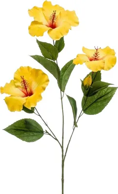 Produktbild von Emerald Künstlicher Hibiskus Zweig - Mara | 82 cm, für drinnen, Kunstblume, wie echt, Allergiker geeignet, pflanzliche Dekoration Praxis, Office & Wohnzimmer