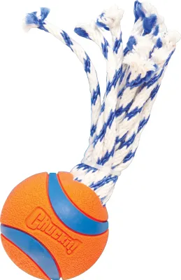 Image de ChuckIt  ULTRA TOSS M Balle avec ficelle pour votre chien