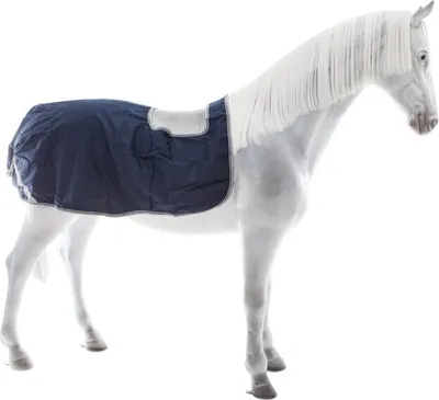 Produktbild von Bucas Freedom Riding Rug Nierendecke, Reitdecke, Farbe:Navy/Silver, Größe:125