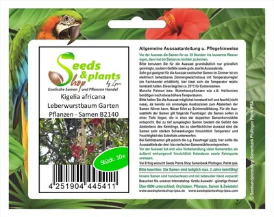 Produktbild von 10x Kigelia africana Leberwurstbaum Garten Pflanzen - Samen B2140