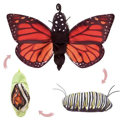 Produktbild von Folkmanis Handpuppe Metamorphose Schmetterling 3073