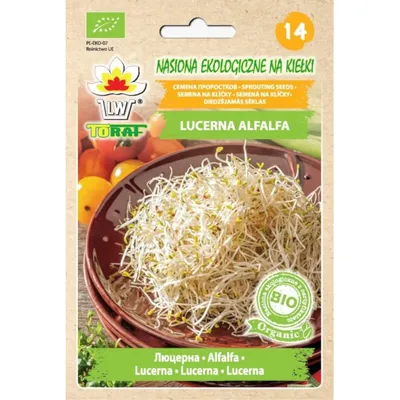 Produktbild von -Alfalfasprossen 20g - Vitaminreiche Keimsaat