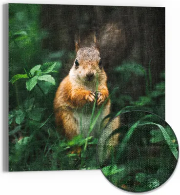 Produktbild von DEQOART Hybrid Leinwand Bild 30x30 cm 'Knabberkünstler' Wandbild Glas flach modern