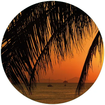 Produktbild von Wallario Premium Glasbild, freischwebende Optik, kräftige Farben, rund 50cm Durchmesser, Motiv Sonnenuntergang unter Palmenblättern