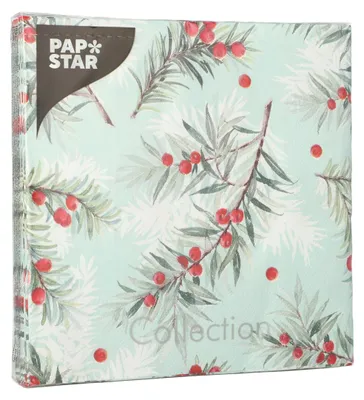 Obrázek produktu pro PAPSTAR 89357 PAPSTAR Servietten Yew Branches 20 St.