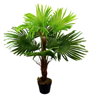 Produktbild von Künstliche Fächerpalme 90 cm mit 9 Palmenwedeln im Topf