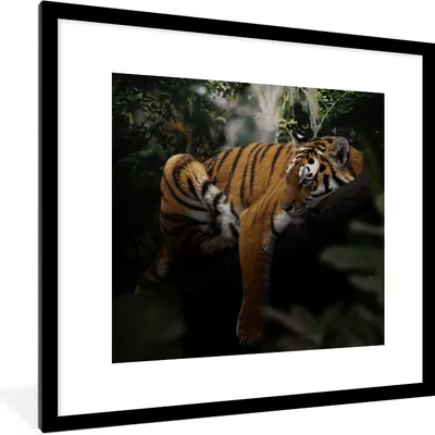 Produktbild von MuchoWow® MuchoWow® Gerahmtes Poster Tiere - Tiger - Dschungel 40x40 cm - Poster mit zchwarzem Bilderrahmen - Poster - Plakat im Rahmen