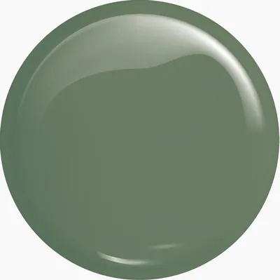 Image de Victoria Vynn Vernis gel 209 Dusty Green 8 ml