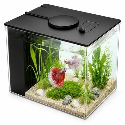 Obrázek produktu pro Kompletní set akvária Betta o objemu 3,7 litru, miniakvárium z akrylu s filtrem a LED osvětlením, ideální pro malé ryby, krevetky a další