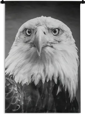 Produktbild von MuchoWow® Wandteppich Wandbehang Adler - Raubvogel - Schwarz - Weiß - Tiere 120x180 cm Tapisserie Dekoration Wandtuch - Schlafzimmer - Dekorationen für das Haus