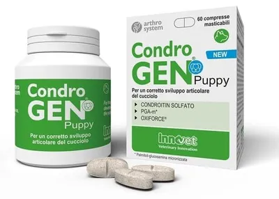 Produktbild von CONDROGEN Welpen, 60 Tabletten