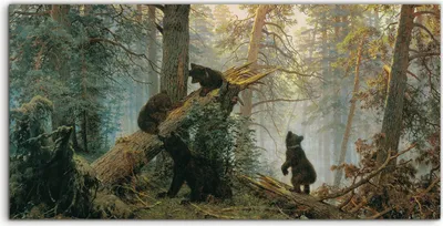 Produktbild von Coloray Canvas 140x70  Wandbild Leinwand Bilder Deko Bären in der Pinienwald Malerei