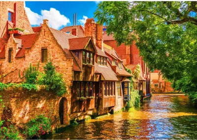 Zdjęcie produktu dla Puzzle BLUEBIRD, 1500 elementów