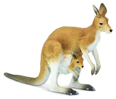 Produktbild von Safari Ltd Känguru Mit Baby Figur Braun,Weiß From 3 Years Kinder Braun,Weiß From 3 Years