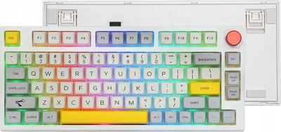 Zdjęcie produktu dla Epomaker Th80 Pro Klawiatura Mechaniczna 75% Bt 2.4G Rgb Budgerigar