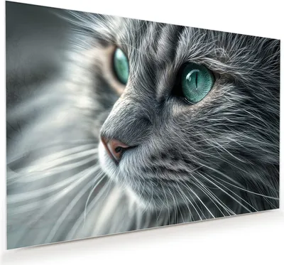 Produktbild von Glasbild 120x80cm in XXL für Wohnzimmer, Schlafzimmer Motiv Nahaufnahme Katze