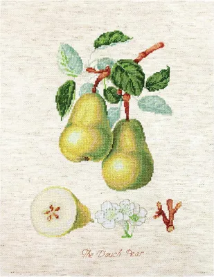 Produktbild von Luca-S Kreuzstich-Set "Die Perle von Dauch", Aida-Stoff, Motiv zum Sticken, 17,5 x 26 cm