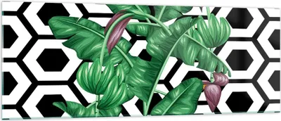 Produktbild von Bilder auf glas - Blatt Pflanze Blume - 140x50cm - Glasbilder - Wandbilder - Kunstdruck - zum Aufhängen bereit - Wanddekoration aus Glas - Glas Bilder - Wandbild auf Glas - Einteilig - GAB140x50-3798