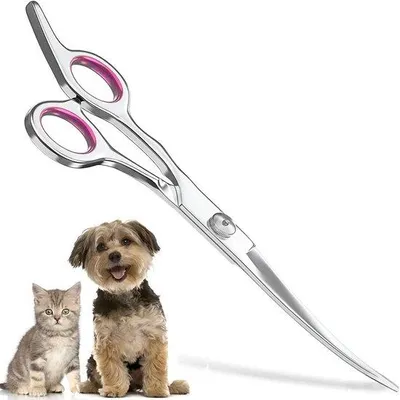 Immagine prodotto di Forbici professionali per la toelettatura di cani e gatti, 15 cm, in acciaio inossidabile